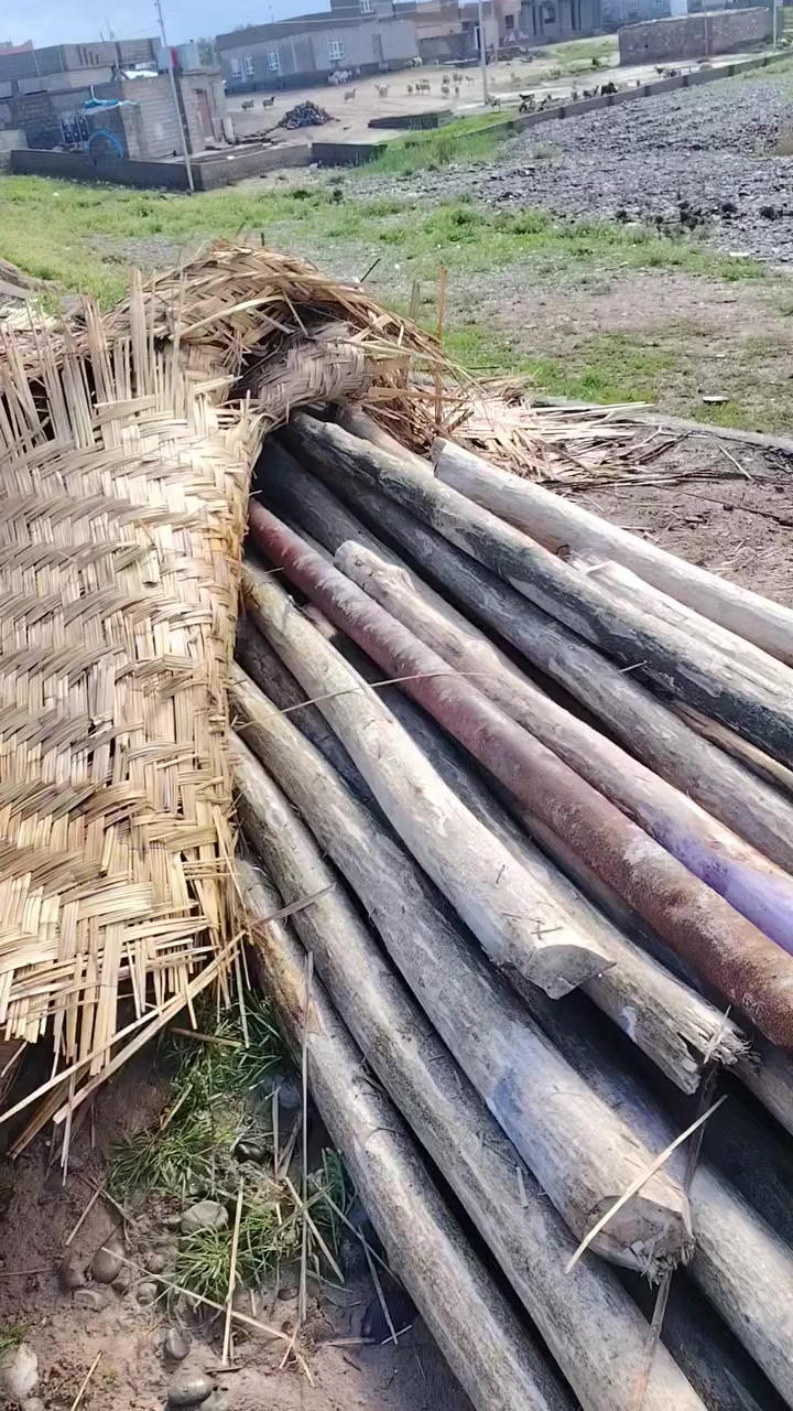 السلام عليكم ورحمة الله وبركاتة
مدود للبيع 25مد و5شلمانات وصرايف ابيع شلع

المكان صلاح الدين الشرقاط قريت شكراً

الشراي تصال ***********
