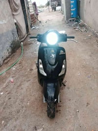 شغاله • سلف • ٢٠١٣