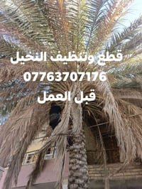 قطع اشجار • تنظيف نخيل • تكريب نخيل