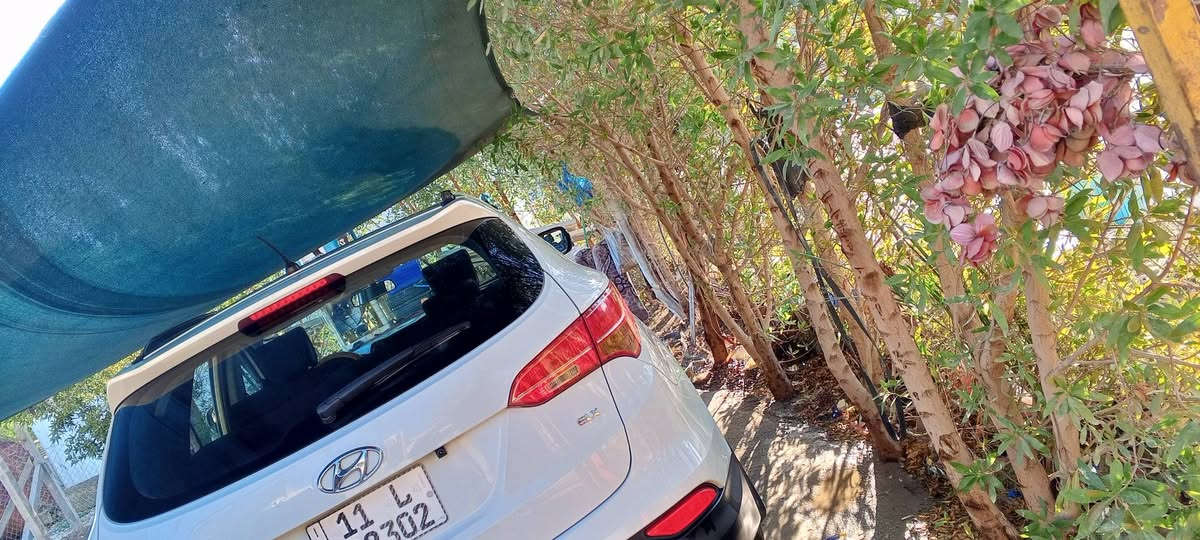 سنتافي 13خليجي سعر 150قفل بلادي مكفول كلشي بيه مكينه 2400دوش بلادي بانوراما بغداد   ***********
