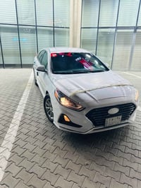 ٢٠١٨ • أبيض صدفي • حادث صبغ