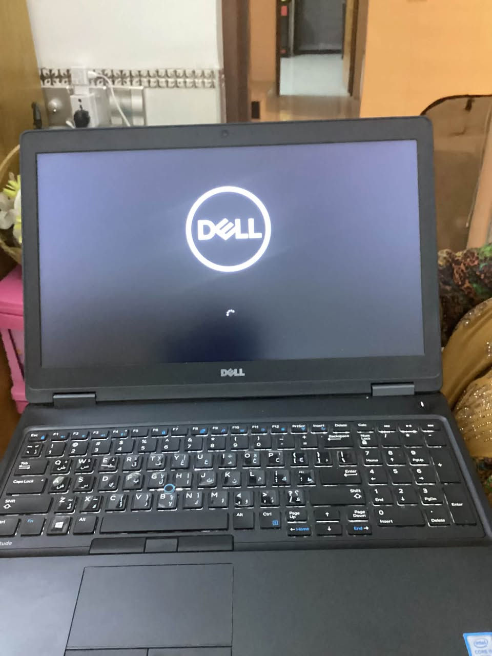 السلام عليكم حاسبة للبيع
مواصفات Cor i5 6g 

Ram 8 ddr5 

Ssd256

Gtx 520hd

60الف ملي واط البطارية ليثيوم

مكاني ديالى جديدة الشط 

السعر 300بيهة مجال
***********
