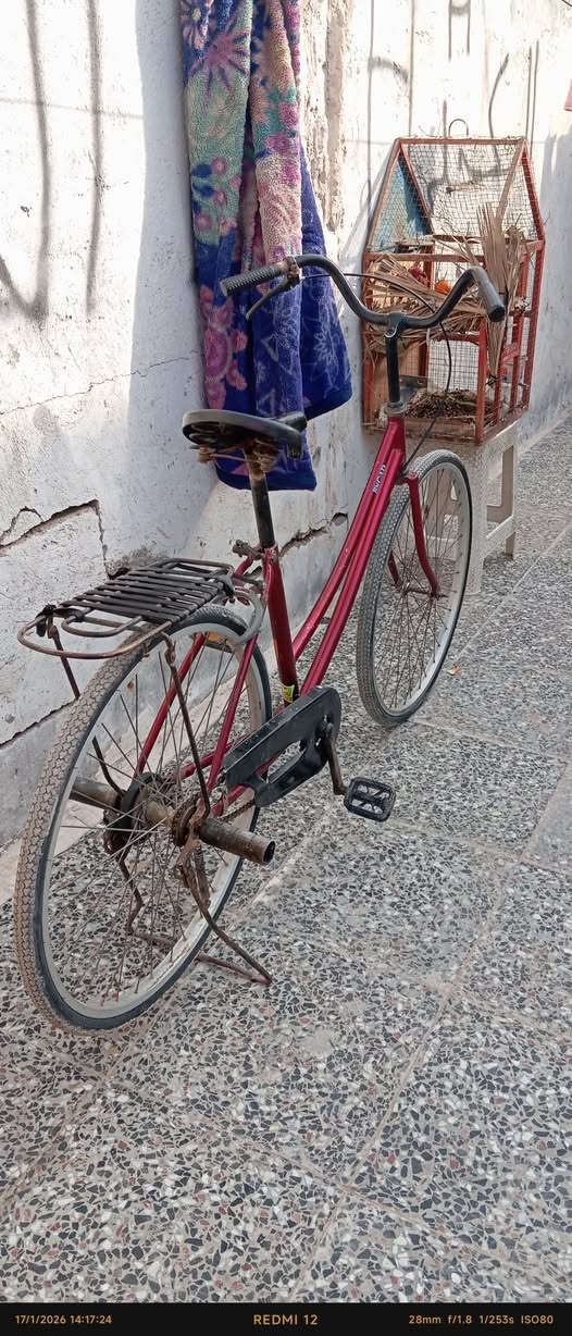 سلام عليكم شلونك عمي 
بيسكل للبيع لون رماني
شركه براود موديل 2014
سعر 55 وبي مجال 
اغراضه كاملات
اليفيده يدش خاص
مكاني عسكري شارع السبيس


**إذا كنت صاحب هذا الإعلان وتريد حذفه لأي سبب، رجاءا أرسل رسالة إلى الدعم الفني**