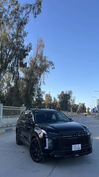بلاسايد بلاك ايدشن • ٢٠٢٣ • ضرر يمين امامي