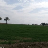 دونم وربع للبيع طابو سند 25 على طابو المحموديه ثاني يوم افتحلك بيان قر...