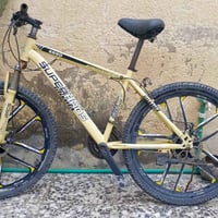 باسكل ياباني • زنجيل مقطوع • تايرات جدد