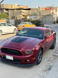 موستنك مديل 14 صبغ حزام رقم بصره مشروع وطني راعيه موجود بغداد   وبيه م...