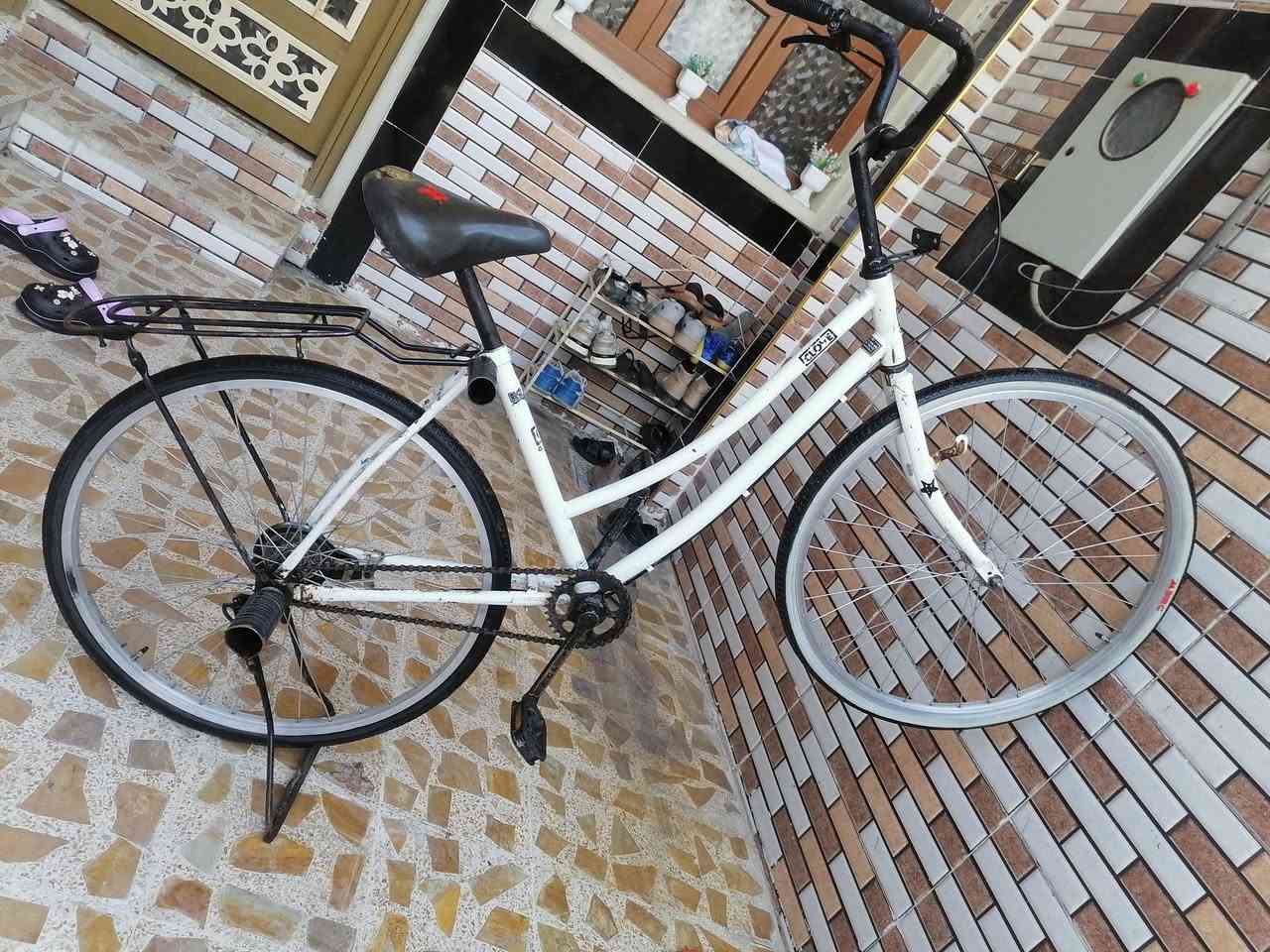 #السلام عليكم  شباب عندي هاذ الباسكل للبيع سعر خاص جاملغات و قبق زنجيل موجودات الي مو شراي لا يتعبني او مراوس شعندك نزل


**إذا كنت صاحب هذا الإعلان وتريد حذفه لأي سبب، رجاءا أرسل رسالة إلى الدعم الفني**