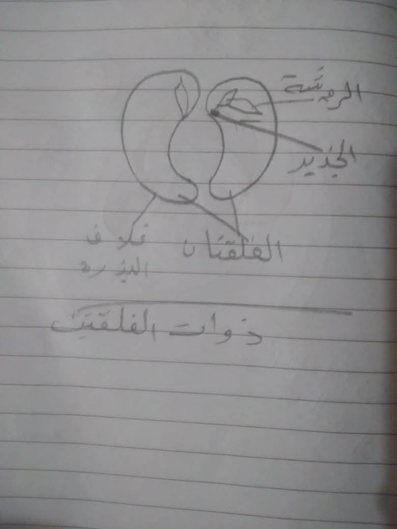 تدريس خصوصي م̷ـــِْن الآۆلْ 🥇 ابتدائي للخامس ابتدائي
العنوان شارع المطار شارع الشفلات قرب اسواق العبدلي 
 
الاتصال واتساب او مراسلة الصفحه ***********
ََ
