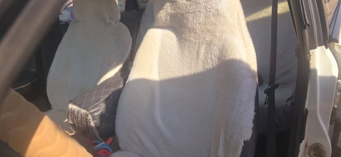 مازده ٦٢٦ رقم سليماني شرط مكفوله من الدعاميه للدعاميه معا تبريد ثلج السعر ٥٦ وبيهه مجال ***********اذا مو شراي لا تتعبني ولا اتعبك
