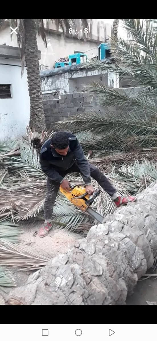 قصنا خلف قص ايجار ***********
