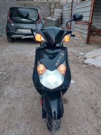 سكنس فحل • كفالة عامة • بغداد الشعب