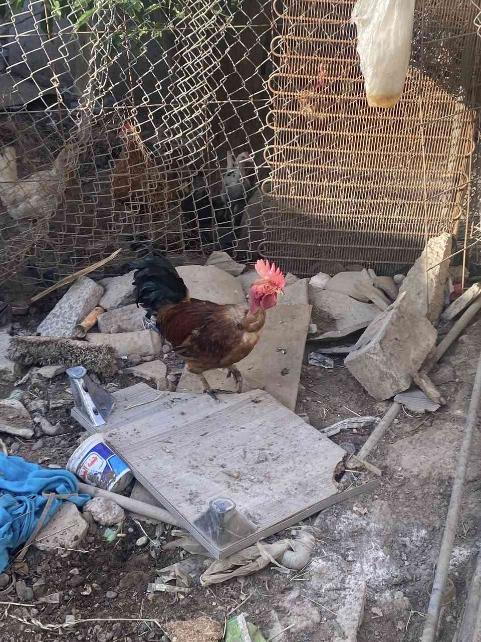 ديج ابو ركيبه مكاني تكريت القادسيه راسلني أو علق


**إذا كنت صاحب هذا الإعلان وتريد حذفه لأي سبب، رجاءا أرسل رسالة إلى الدعم الفني**