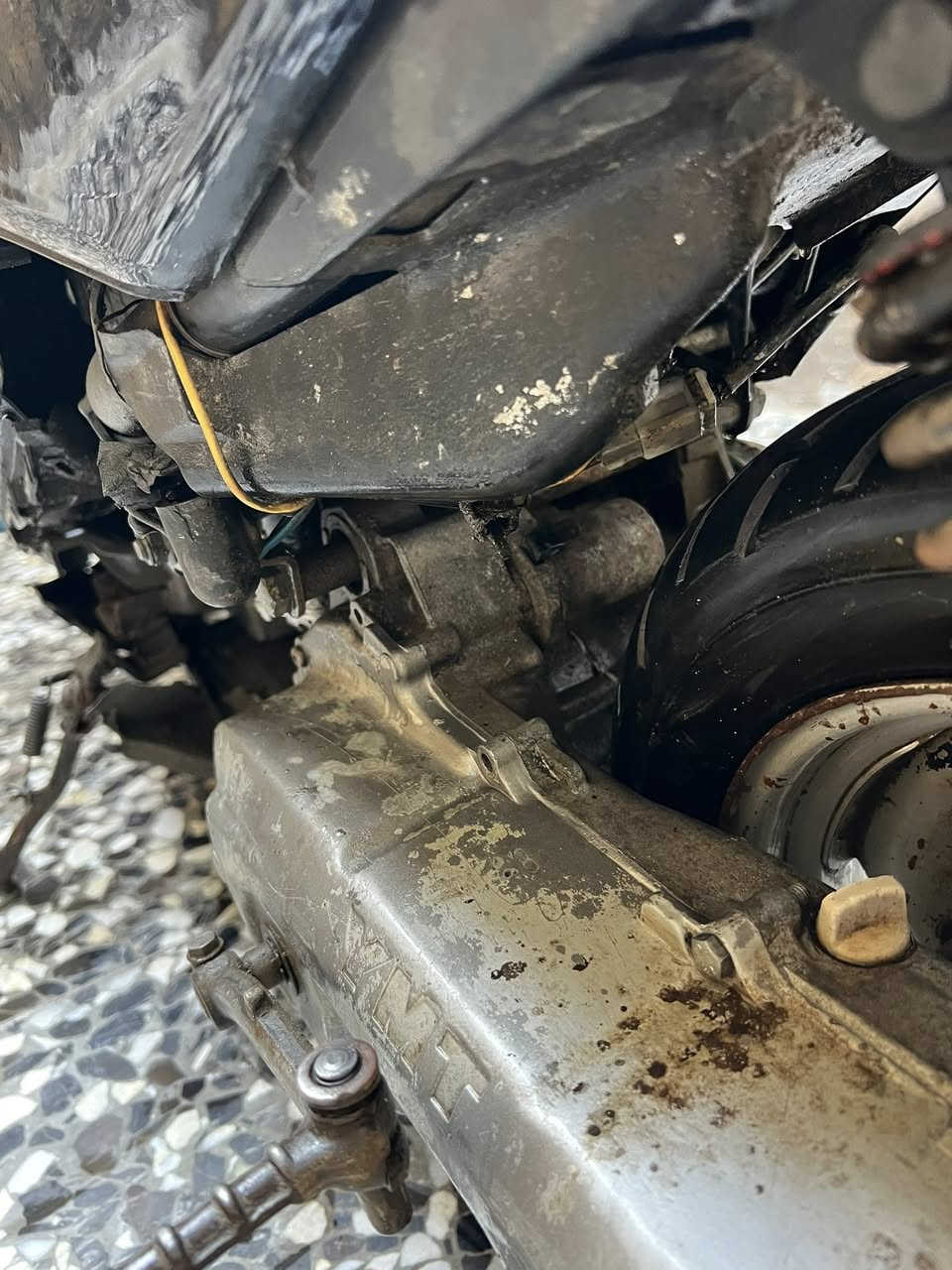 السلام عليكم دارجه عصفوريه للبيع الدراجه شغاله هندر مثل ما بل صور المكان بغداد مدينه الصدر الكياره السعر قيم وأخذ بل يرضي الله رقم ***********او خاص
