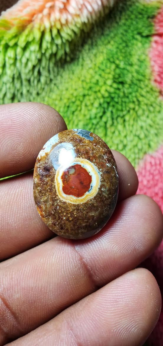 السلام عليكم نوادر داوودي جملة ومفرد ابيع ويوجد توصيل لجميع المحافظات


**إذا كنت صاحب هذا الإعلان وتريد حذفه لأي سبب، رجاءا أرسل رسالة إلى الدعم الفني**