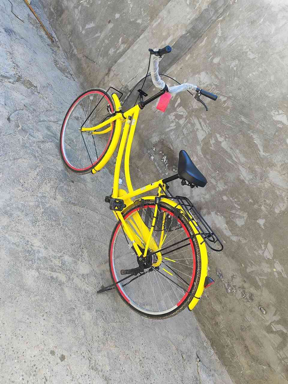 السلام عليكم بايسكل حجم 26 موديل2022 السعر 50


**إذا كنت صاحب هذا الإعلان وتريد حذفه لأي سبب، رجاءا أرسل رسالة إلى الدعم الفني**