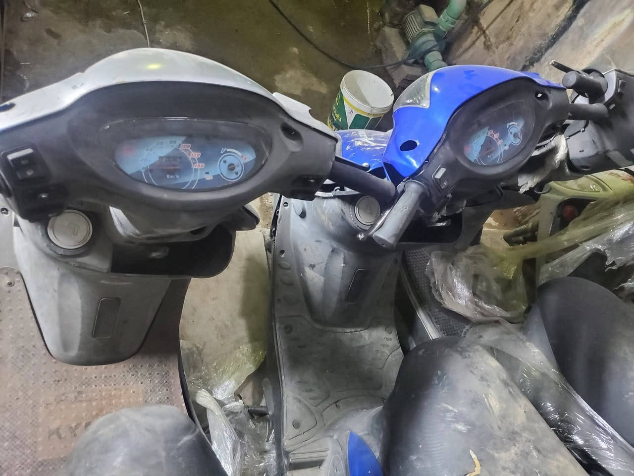 سلام عليكم اخوان وجبه مال دراجات ماكس بيهن 25 درجه  بيهن ثعلب وغير الثعلب و بوليس 2 ب جيس وهذن كدامك رمبه الوجبه كامله مال رمبه اله فول اذا اكو ابو معرض او وكيل يشتريهن انطيهن اله ب سعر و اذا مفرد ب سعر و الشراي
( *********** )
