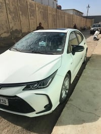كورلا هايبرد • ٢٠٢٤ • مرقم بابل
