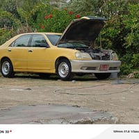 ملكه ٢٠٠٥ • نجف • رقم صدامي