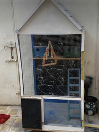 اربيل • خشب اصلي • قفص داير