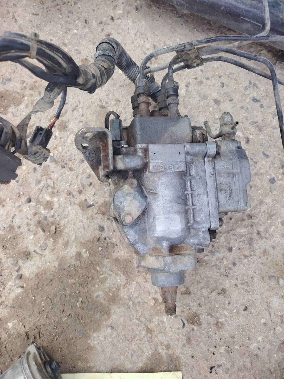 سلام عليكم
غراض كيا بنكو   ٣٠٠٠
مكاني بغداد النهروان


**إذا كنت صاحب هذا الإعلان وتريد حذفه لأي سبب، رجاءا أرسل رسالة إلى الدعم الفني**