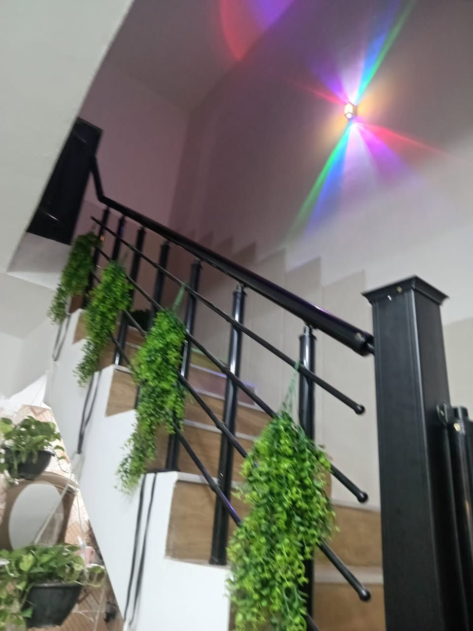 يالله السلام عليكم ورحمة وبركاته. بيت للبيع   مساحه 100 متر طابقين. موقع البيت كميره شارع الملعب مقابيل ايوب ابو الجمله.  سعره ب120 مليون وبي مجال بيت حلو كامل مكمل 
للاستفسار *********** اتصل. واتساب ايضا 
اكو اكثر من  عرض بيووت مناسبات وكل المساحات
