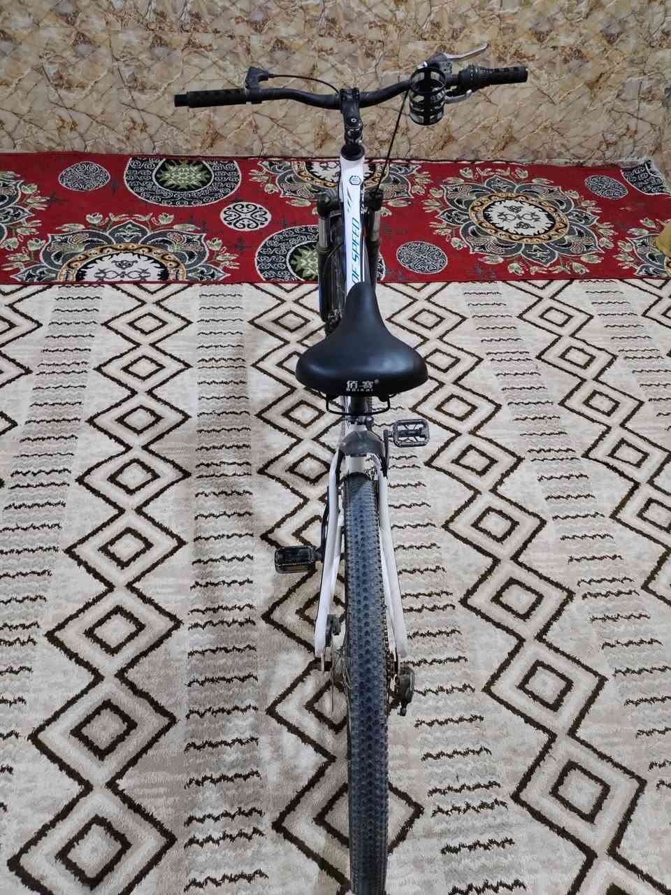 السلام عليكم . باسكل جبلي سعره 90 الف .للاستفسار خاص .
البريك الامام شغال فقط .


**إذا كنت صاحب هذا الإعلان وتريد حذفه لأي سبب، رجاءا أرسل رسالة إلى الدعم الفني**