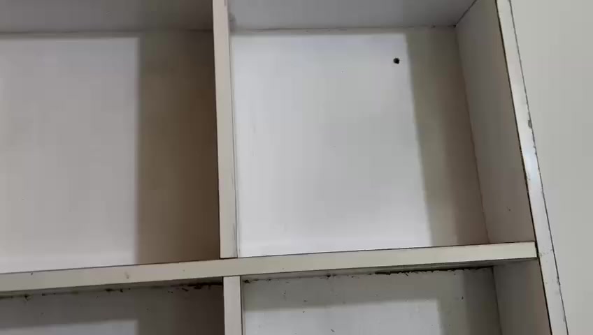 للبيع الي طالبين  هاي مال سوبر ماركت عارضات كرزات🥥 عارضات حلويات او چوكليت🍬 مراسلة هذا الرقم *********** ماركت حسن الساهر اربع شوارع الزعفرانية
