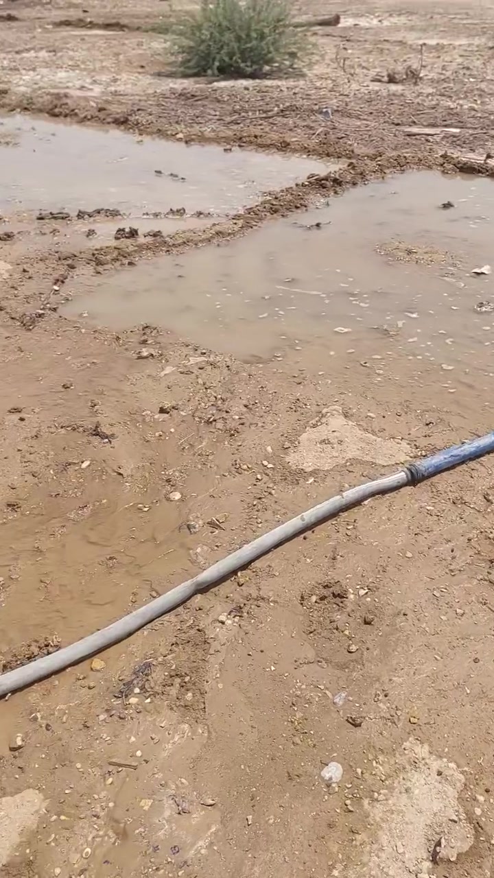 سلام عليكم شباب بيت للبيع بناء بلوك رباط علا العشر سوف والسكف فرش والكهرباء تأسيس سمنس التطبيك بورسلين سمكه ١٤ ملي الجداري المطبخ الهندي المساحه ٢٤٠ يم سابله قريب علا المحطه البيت جاهز بناء توني خلصته تصل علا الرقم اكثر استفسار ***********
