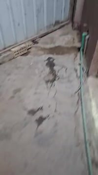 لليجار موقع كلش حلو عنوانه بغداد الشعب  سوك شلال شارع فدك  قرب الجامع ...