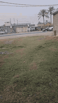 الهم صلي على محمد وآل محمد .     (700م طابو زراعي) . تحويل اسهم  العنو...