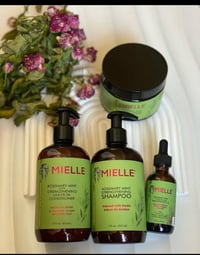Mielle Rosemary Mint • سيت Mielle • Mielle للعناية بالشعر • تساقط الشع...