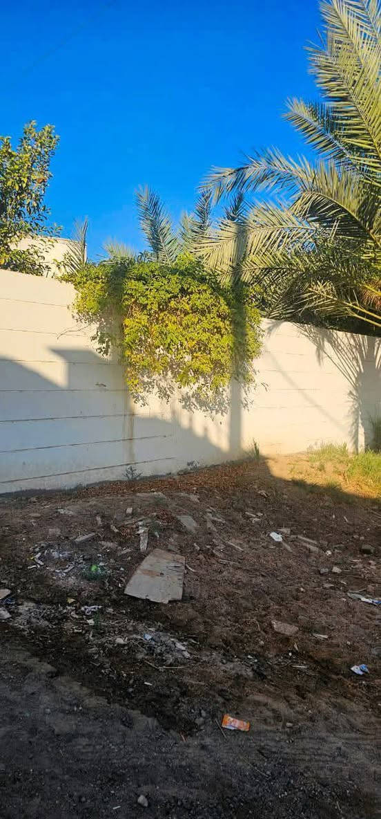 السلام عليكم بيت للبيع المساحه 400 متر طابو زراعي سند 25 يحتوي على غرفتين واستقبال ومطبخ حار وبارد وصاله صحيات داخليه وخارجيه وحديقه العنوان كربلاء طويريج  حي الجمعيه قرب كنطرة المستقبل السعر خاص للإستفسار اكثر الأتصال على الأرقام الموجوده  ***********
