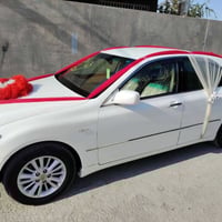 شاحنة حاوية • كفالة عامة • ذي قار