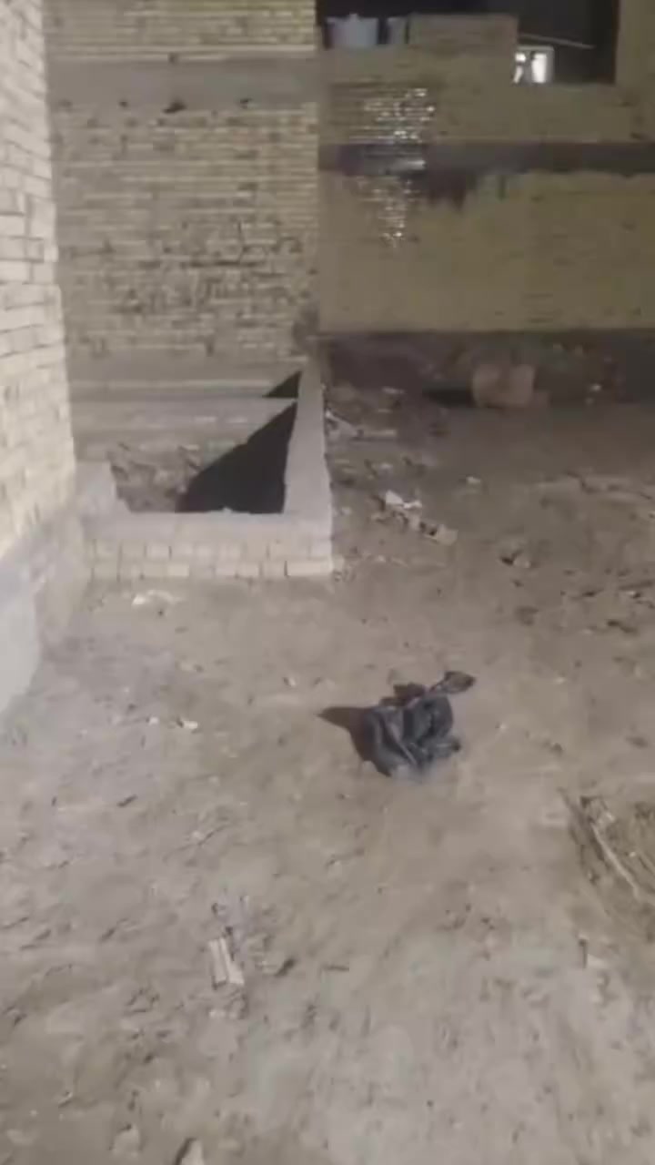 قطعة طابو صرف خلفيه علة شارع 20متر مبنية بتلو وجاهزة سعر 27وبيهة مجال مستعجل عالبيع ناحية سديناوية قرب مدرسة صفي الدين ***********
