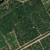 مركز القضاء • ١٢٠٠م • سكن/مزرعة