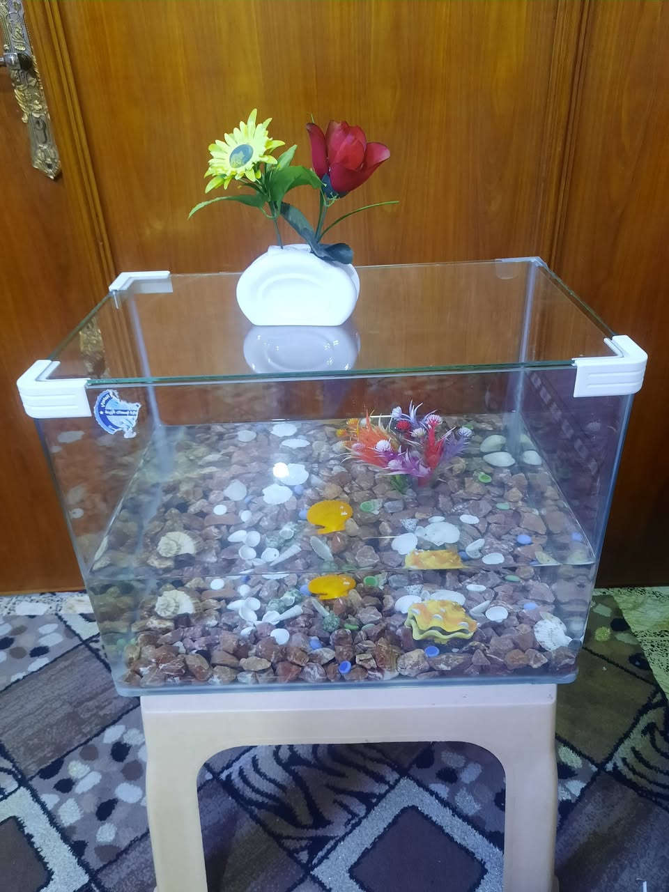 طباخ رويال مصري اخو جديد ب١٠٠
..حوضين سمج اثنين ب٨٠
تنورين غازي وكهربائي ب٣٥


**إذا كنت صاحب هذا الإعلان وتريد حذفه لأي سبب، رجاءا أرسل رسالة إلى الدعم الفني**