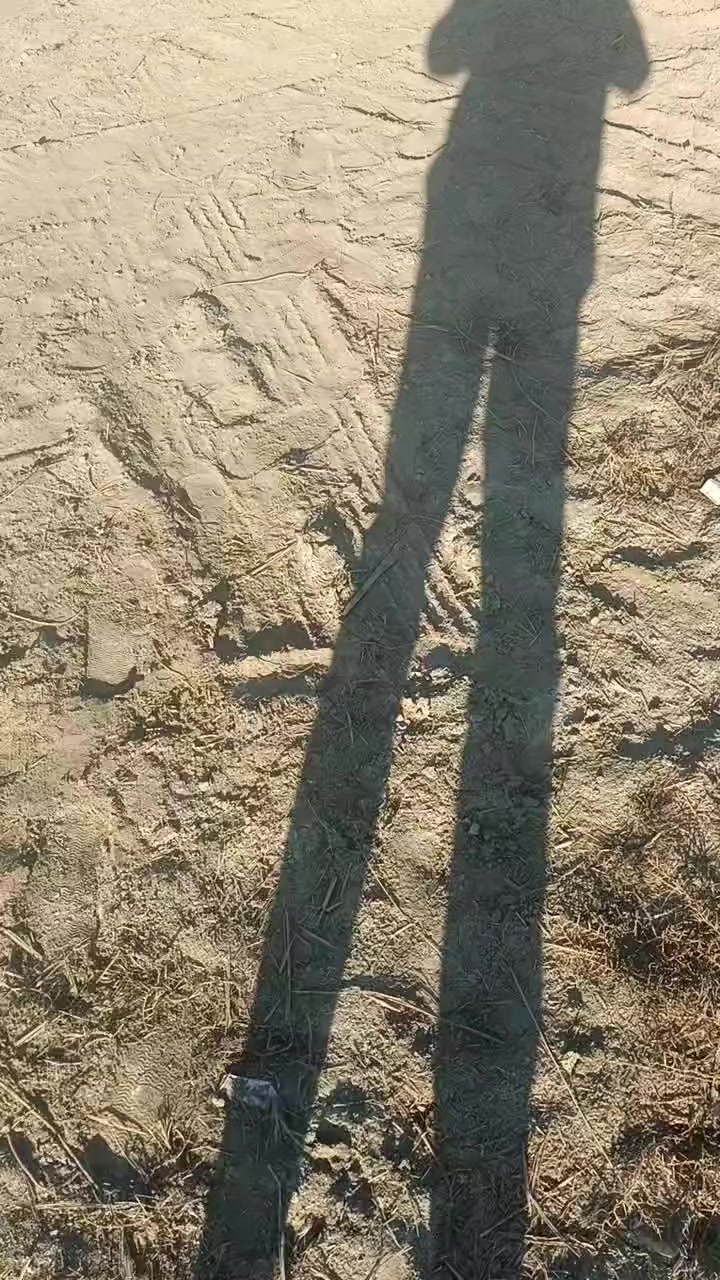 قطع للبيع 400 متر العنوان الرشيده يمه البخابط السعر مالتهن ب 30 قرار محكمه تتكاتبداذا شارعين ترجع التبليط ***********تطلع من هنا على الحولي
