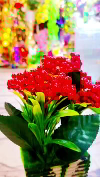 سوق القياره • ديكور منزلي