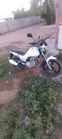 سنكي • نظيفه • موديل 19