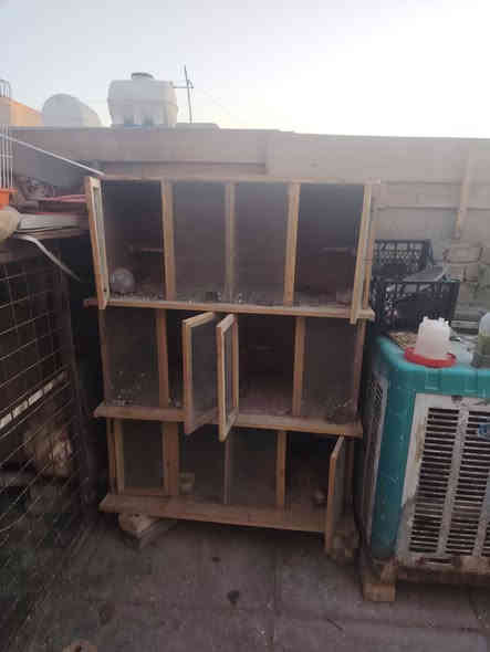 خانات لبييع العدد 6 خانات مربعه. طول و وعرض الخانه الوحده 50/50 السعر 60 مكان الامين الثانيه شارع المكاتب لتواصل خاص
واتساب ***********
