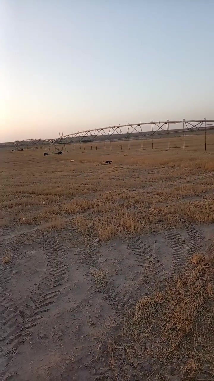 مرشات للبيع ام ٣ سمارت سعر المرشه ١٧مليون وذا تريد كاع موجود قرب الفلوجه طريق سياحية تبعد عن لشارع ٣كيلوات سعر ١٠٠دونم ٢٥مليون ***********
