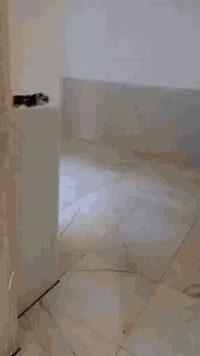 ***********//***********خلفه سيراميك وترميم والبخ وفرشي وكاشي/طوريج وكربلاء وبابل مكاني
