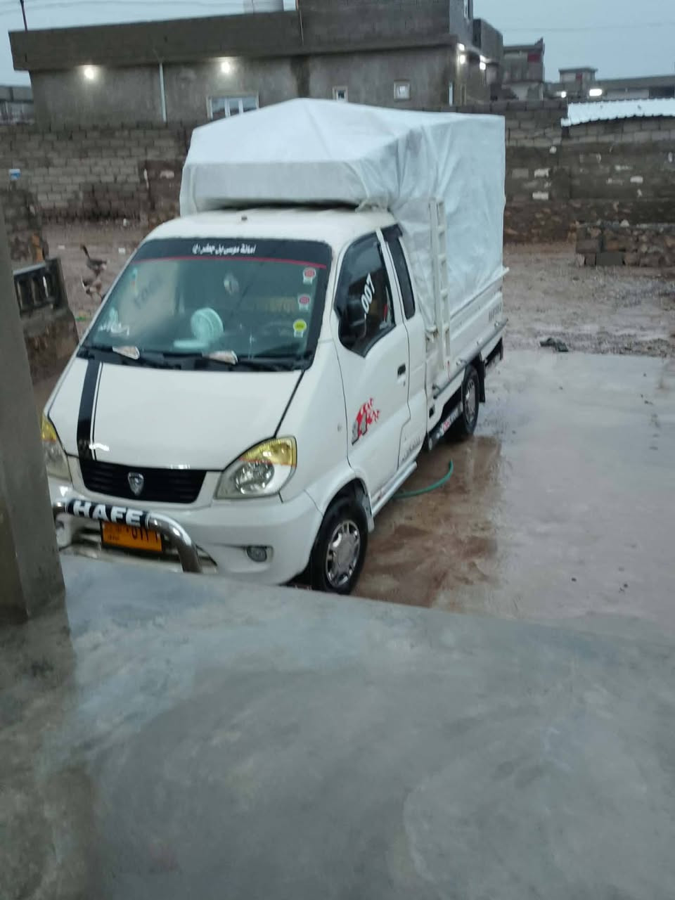 سلام عليكم عندي هنفي شصي معمر سعر 30وبيه مجال دخول ربيعه ***********///***********
