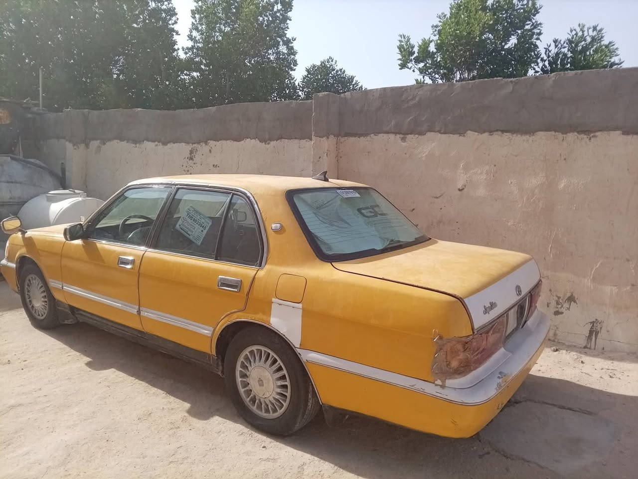 السلام عليكم ارنب للبيع ***********
