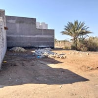 أرض زراعي • ٢٢٠م • خلف مجمع العتبة