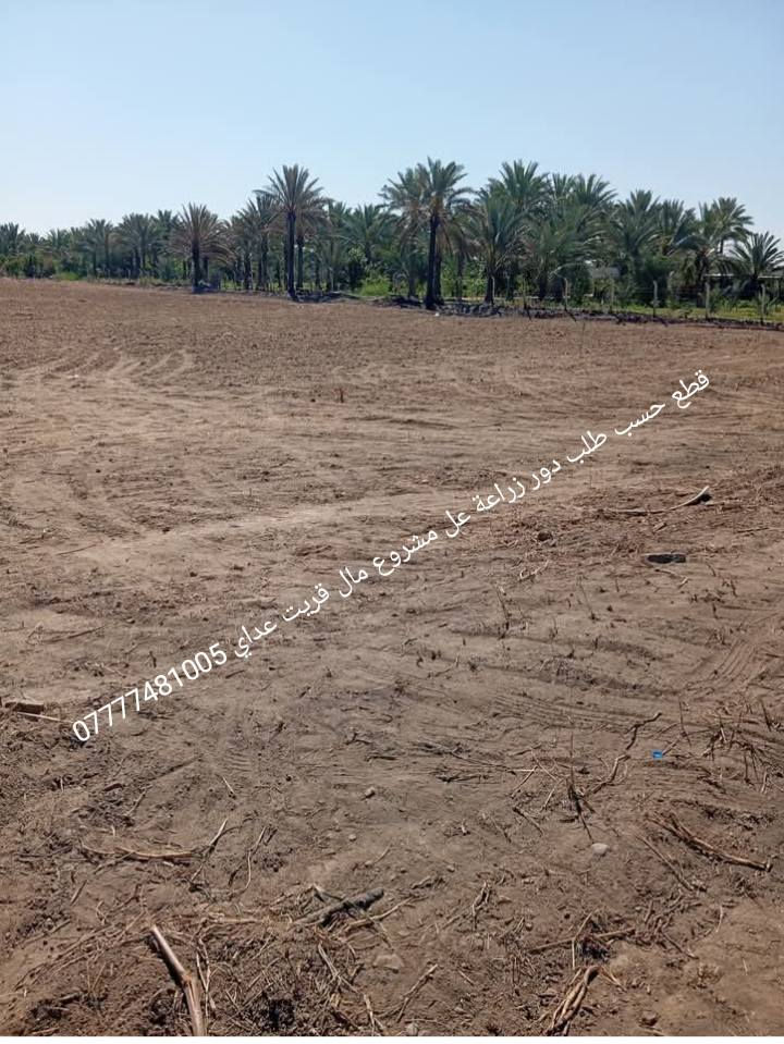 قطع حسب طلب دور زراعة عل مشروع مال قريت عداي بيع نقد لؤقصط ***********
