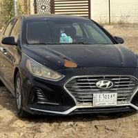 سوناتا • ٢٠١٨ • صبغ كامل