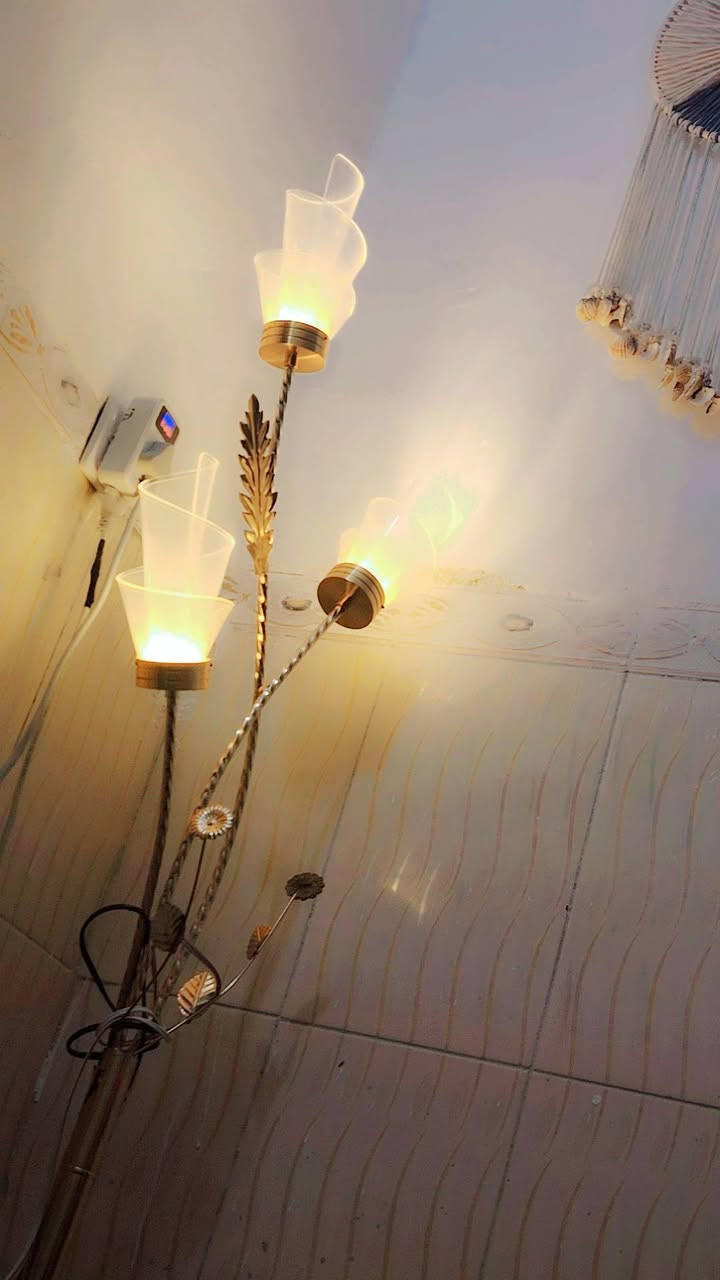 نظافتهن 90٪


**إذا كنت صاحب هذا الإعلان وتريد حذفه لأي سبب، رجاءا أرسل رسالة إلى الدعم الفني**