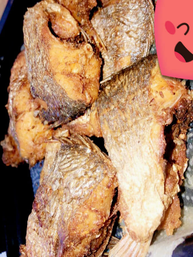 طلبية اليوم وألف عافيه 
للحجز الاتصال على هذه الأرقام 
***********
***********
او مراسلة الصفحه
